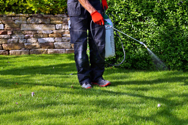 Emergency Pest Control in Beaumont, TX